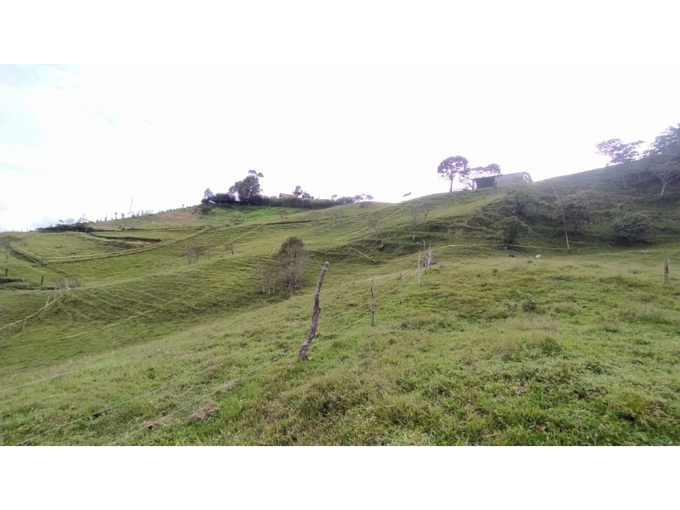 Se Vende Lote 1000m2 en alto de Matasano, con facilidad de pago