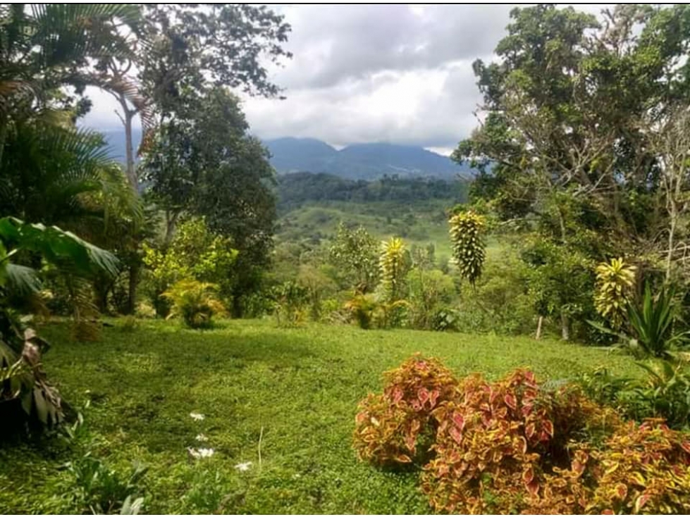 Se vende finca en Silvania Cundinamarca cerca del casco urbano.