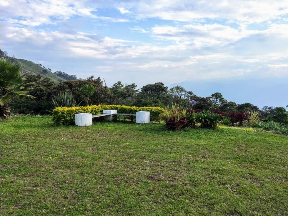 VENDO FINCA DE 5 CUADRAS CON CABALLERIZA Y FONDA EN FREDONIA