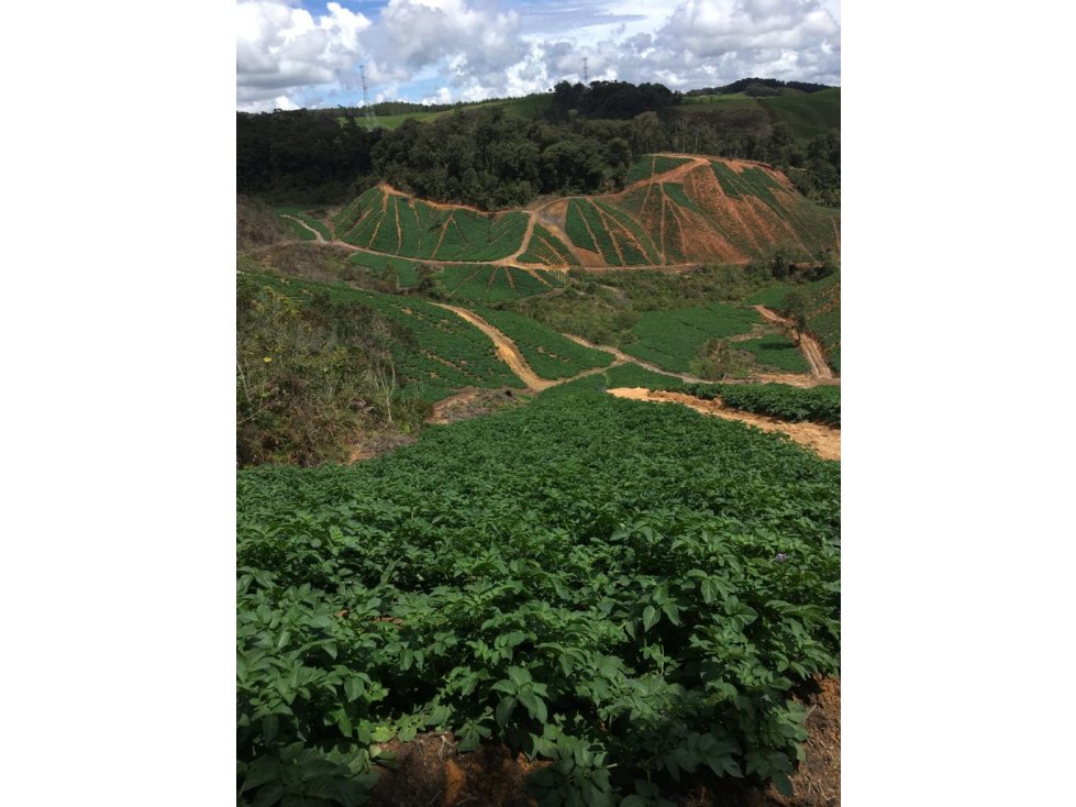 FINCA AGROINDUSTRIAL EN SANTA ROSA DE OSOS