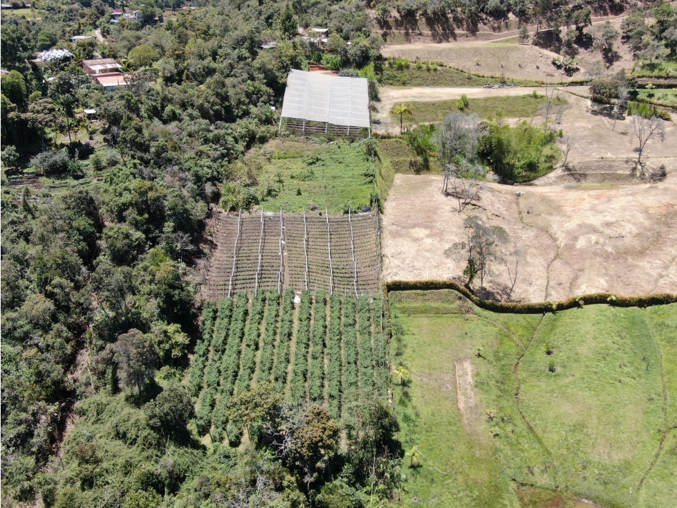 TERRENOS PARA LOTEAR A CINCO KMS DEL AEROPUERTO JOSÉ MARÍA CÓRDOBA