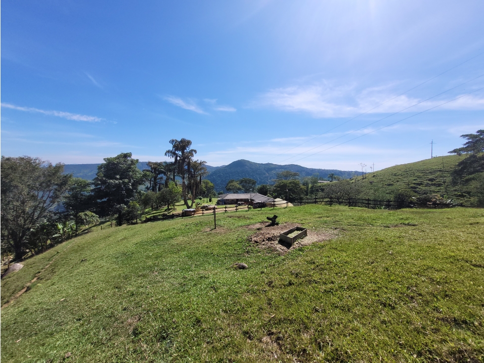 SE VENDE FINCA EN YOLOMBÓ CON PANORÁMICA ESPECTACULAR