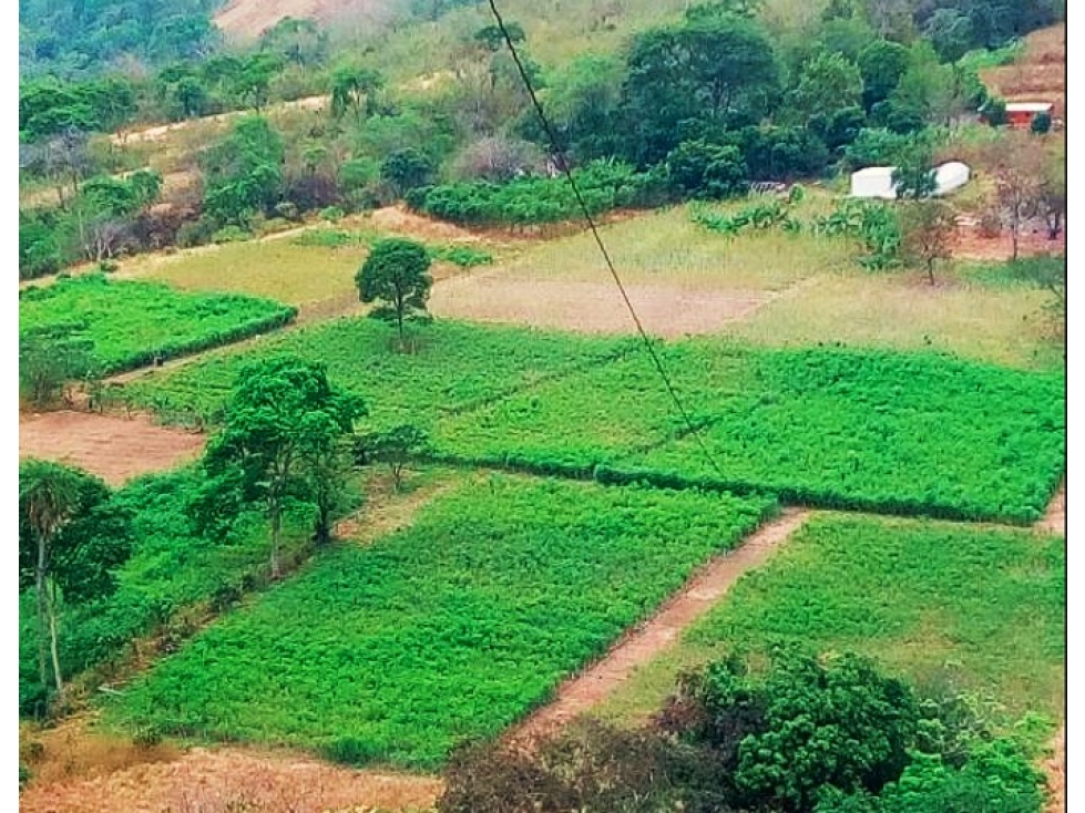 VENDO FINCA AGROINDUSTRIAL EN SANTAFE DE ANTIOQUIA