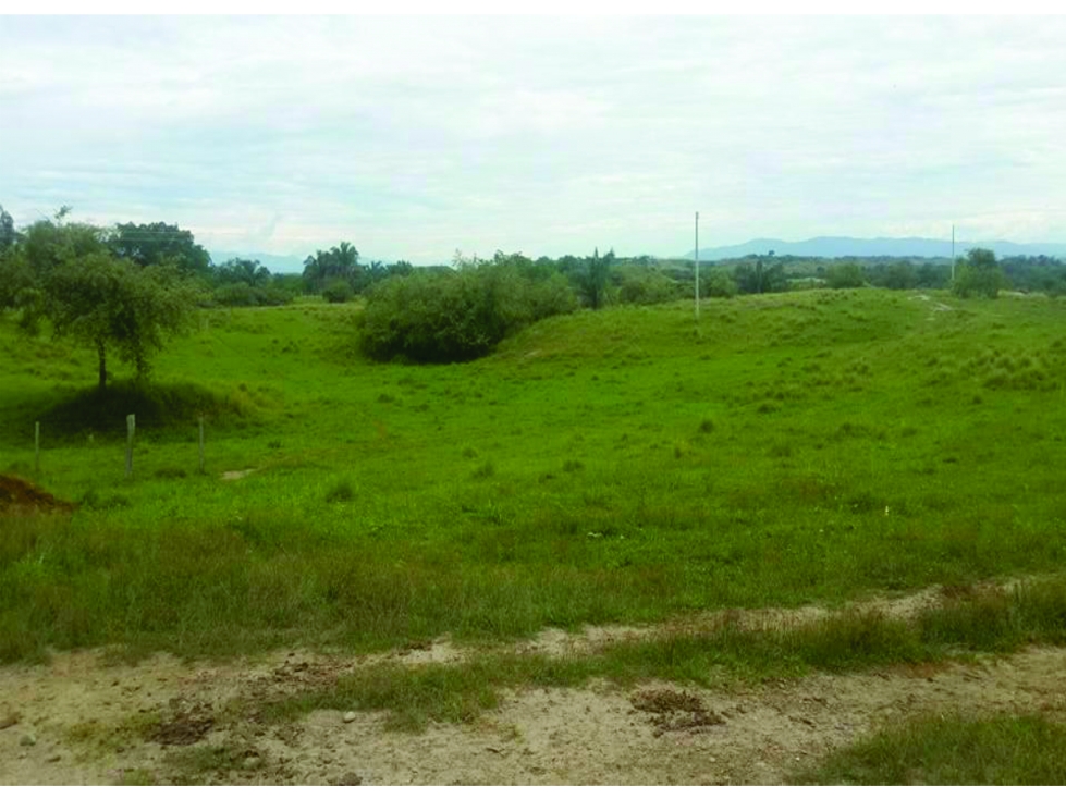 FINCA GANADERA-ARROCERA EN SAN LUIS TOLIMA