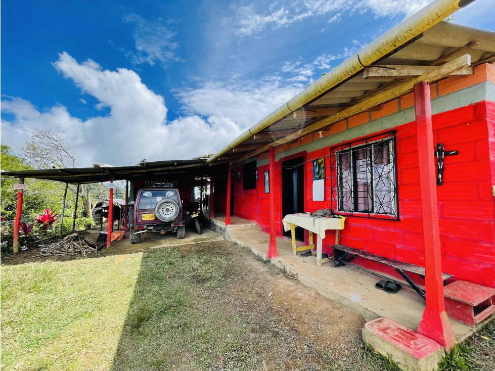 Finca de 1 Hectárea con Casa, Frutales, Café y Caña