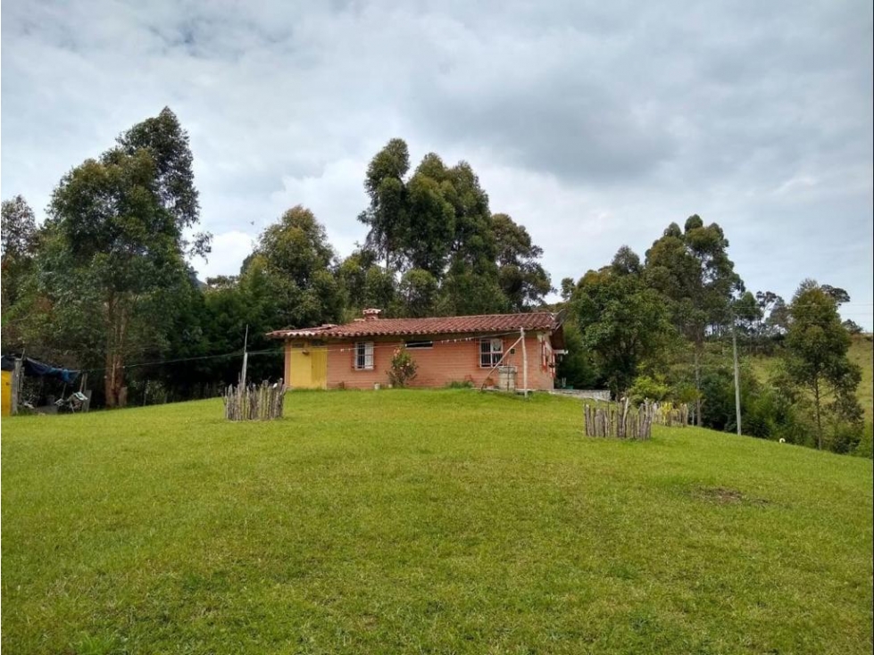 ESPECTACULAR FINCA EN VENTA GUARNE