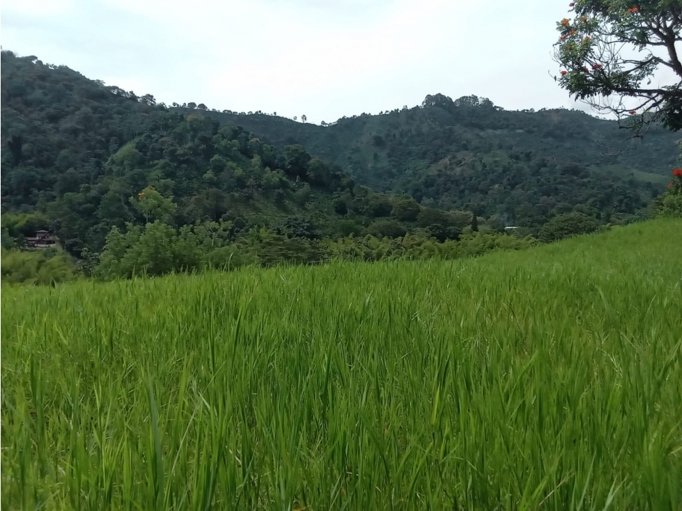 lote en Parcelacion Suroeste de Antioquia