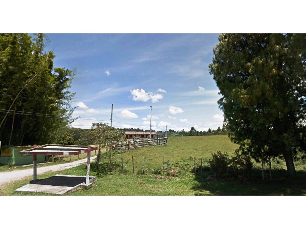 Lote Rionegro, Simarrones