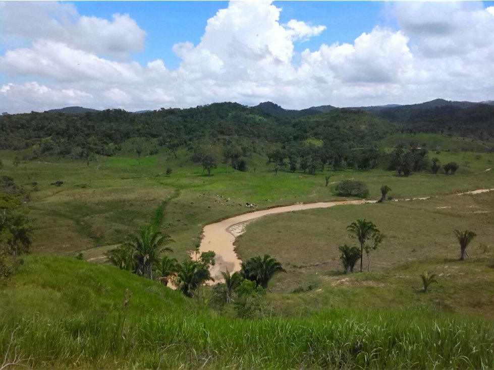 Venta Finca Vegachi Antioquia