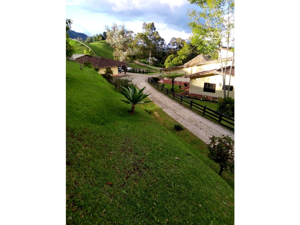 Finca La Ceja Vereda El Tambo Se Vende