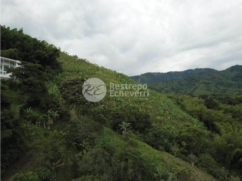 Vendo finca vereda La Trinidad, Manizales