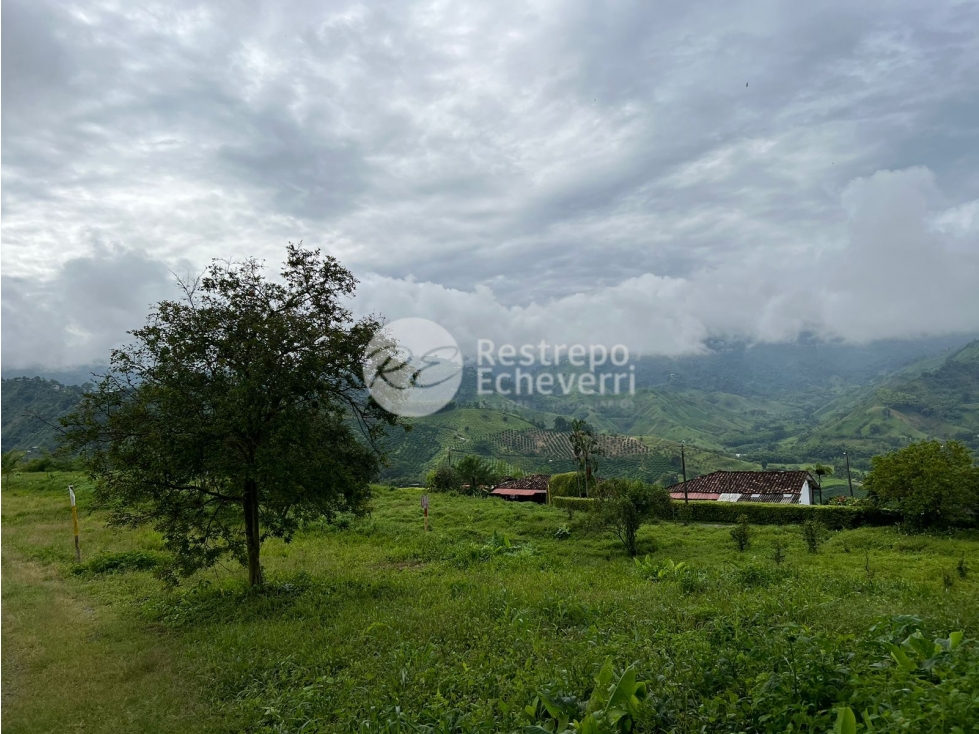 Vendo lote en conjunto, La Trinidad, Manizales