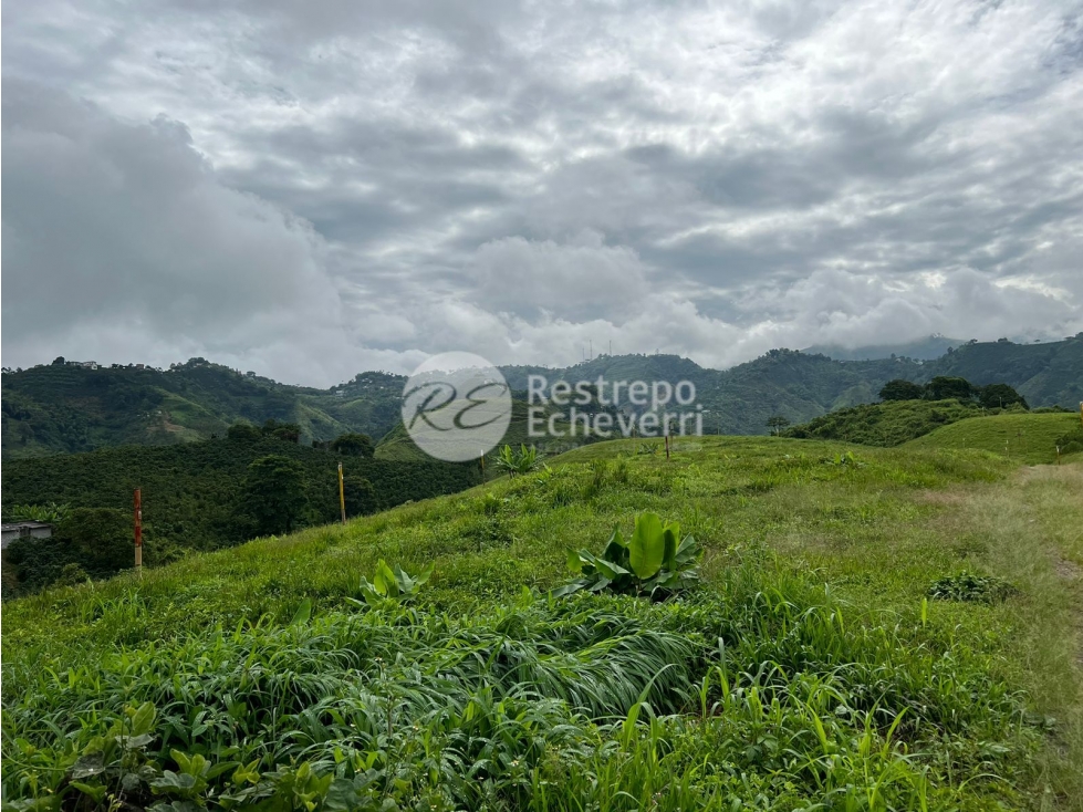 Vendo lote en conjunto, La Trinidad, Manizales