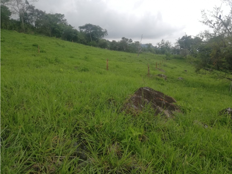 Vendo lotes en La Junca- Cundinamarca