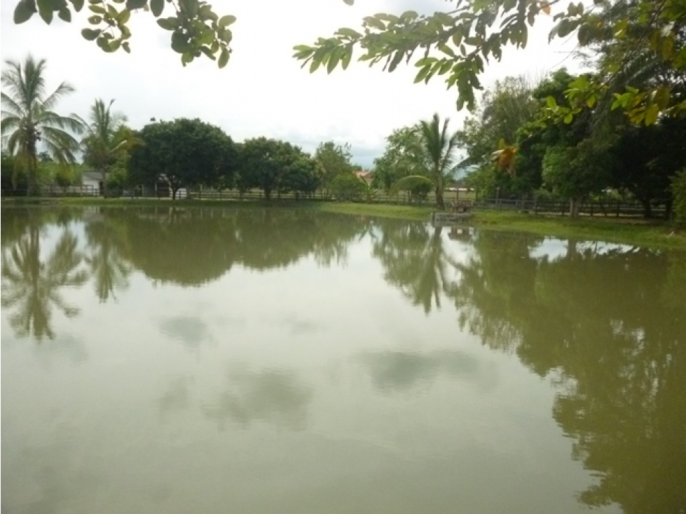 SE VENDE CASA DE CAMPO EN CAMPO ALEGRE, TULUÁ