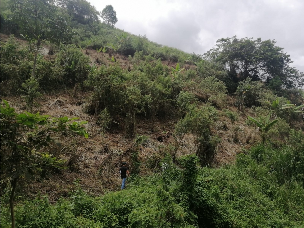 EN VENTA FINCA DE 3 CUADRAS EN CÓRDOBA QUINDIO