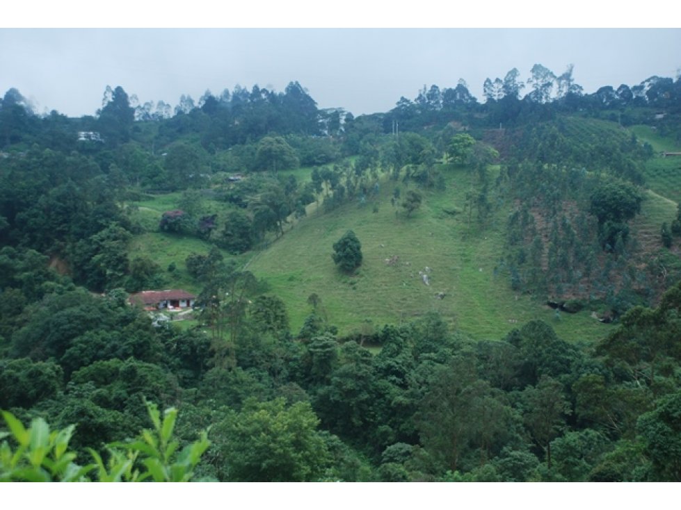 VENDO FINCA EN TENA. LA MESA