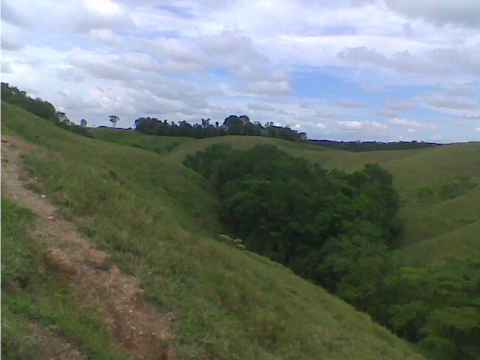 Venta finca Puerto Boyaca