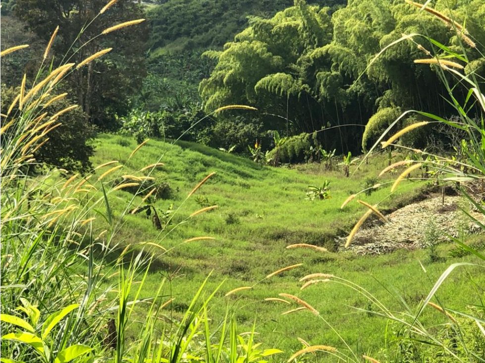 Se vende Finca La Virginia Calarcá