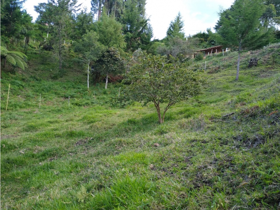 Finca para la venta Marinilla - Campo Alegre