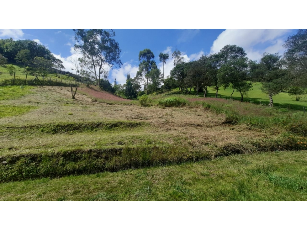 VENTA DE LOTE EN SAN ANTONIO DE PEREIRA - RIONEGRO. PRECIO OPORTUNIDAD