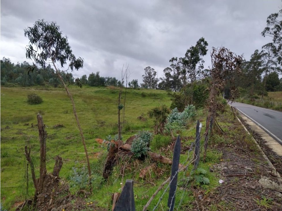 Finca ubicada en el Municipio de Santa Sofía Boyaca 12.5 hectareas