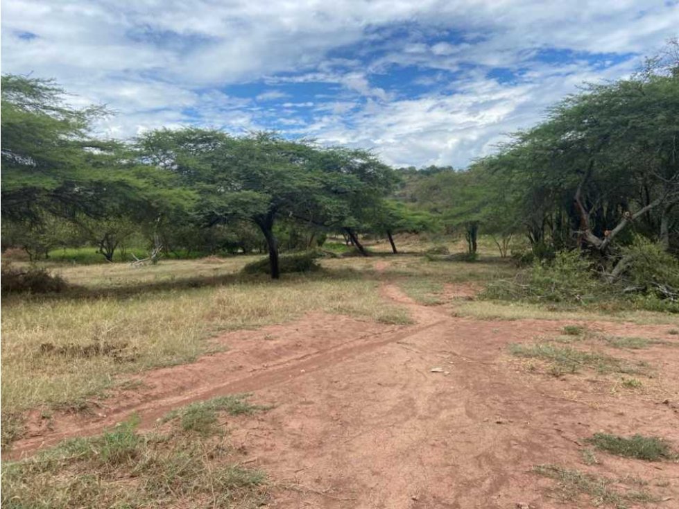 Venta De Lotes En Ricaurte: Lagos De Leticia